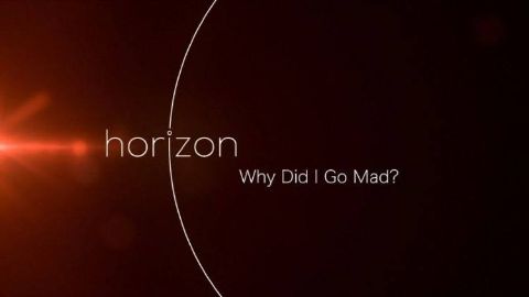 Why Did I Go Mad?