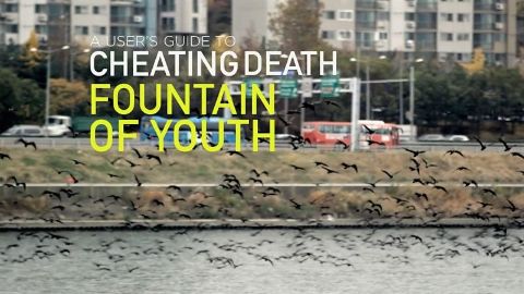 Fountain of Youth